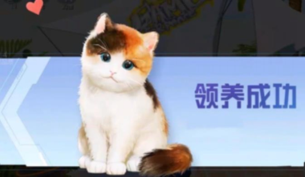 和平精英家园怎么养猫