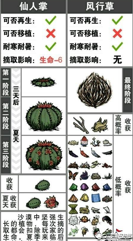 饥荒仙人掌花怎么得