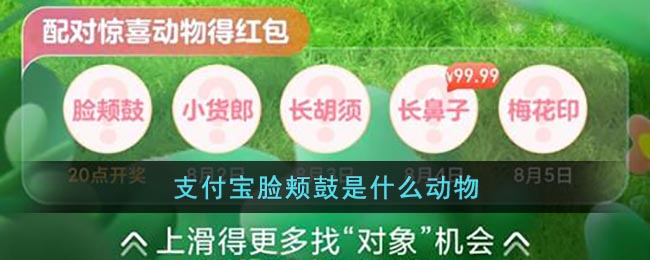 《支付宝》脸颊鼓是什么动物