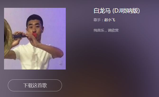 抖音白龙马唢呐叫什么