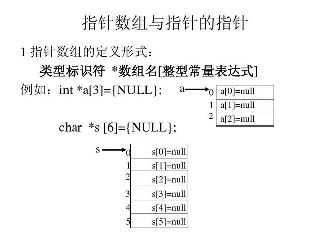 数组指针怎么用