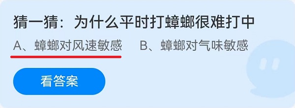 猜一猜：为什么平时打蟑螂很难打中？