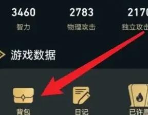 dnf助手看不到背包了