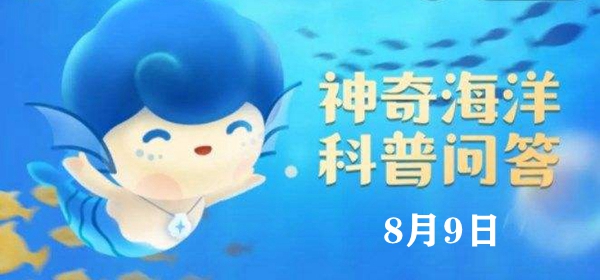 神奇海洋今日答案8.9：下列关于海葵的说法，正确的是