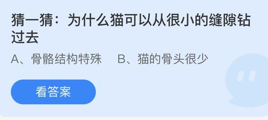 为什么猫可以从很小的缝隙钻过去